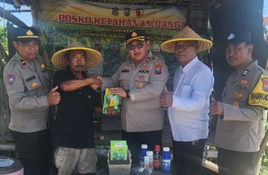 Kelompok Tani Terbantu dengan Bantuan Sarana Produksi Pertanian
