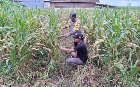 Polres Malang Dorong Warga Perkuat Produksi Komoditas Pangan