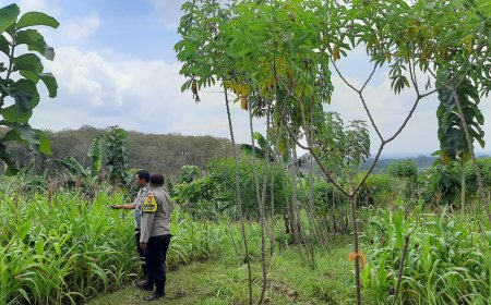 Polres Malang Tak Hanya Dorong Produksi, Distribusi Hasil Tani Ikut Dikawal