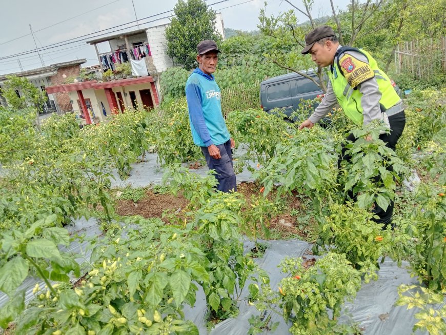 Polres Malang Jadikan Petani Mitra Jaga Ketersediaan Pangan