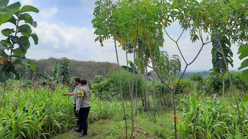 Polres Malang Tak Hanya Dorong Produksi, Distribusi Hasil Tani Ikut Dikawal