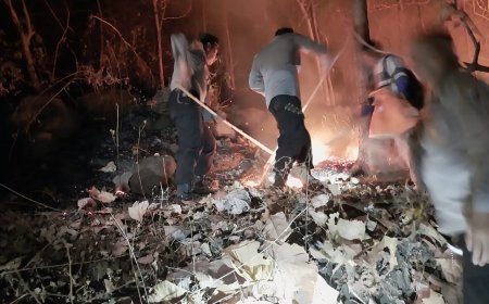 Gerak Cepat Jajaran Polres Ponorogo dan Tim Gabungan Berhasil Kendalikan Karhutla di Pohgading